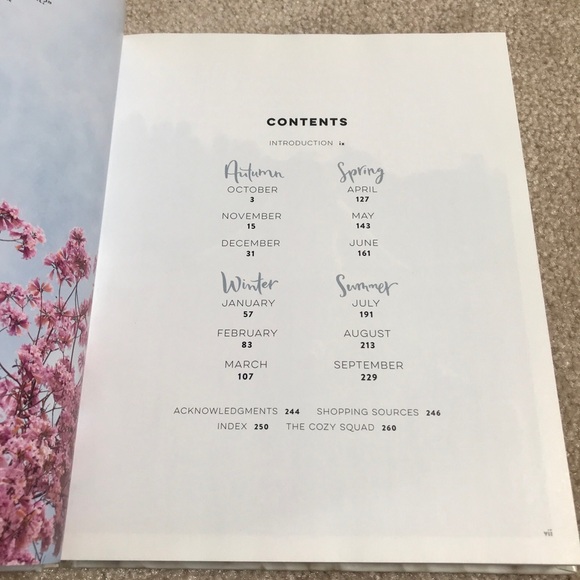 2 Cookbooks for healthy and cozy dinners. Recipes, crafts and guilt-free cooking - Picture 8 of 9